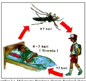 Gambar 2.1. Mekanisme Penularan  Demam Berdarah Dengue 
