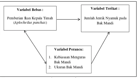 Gambar 3.1.  Kerangka Konsep 