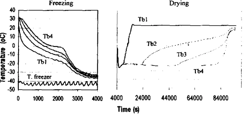 Figure 2. and Temperature profile within the Javanese piper pasta during freezing sublimation process (surface temperature 23.4 O C ,  chamber pressure 74.6 Pa, fieezing rate 2.7 crnt's) 