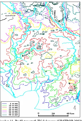 Gambar 11  Profil topografi TN Sebangau (CIMTROP 2002) 