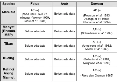 Tabel 1.  Data keberadaan neuron katekolaminergik di area postrema pada  beberapa spesies mamalia dari fetus sampai dewasa 