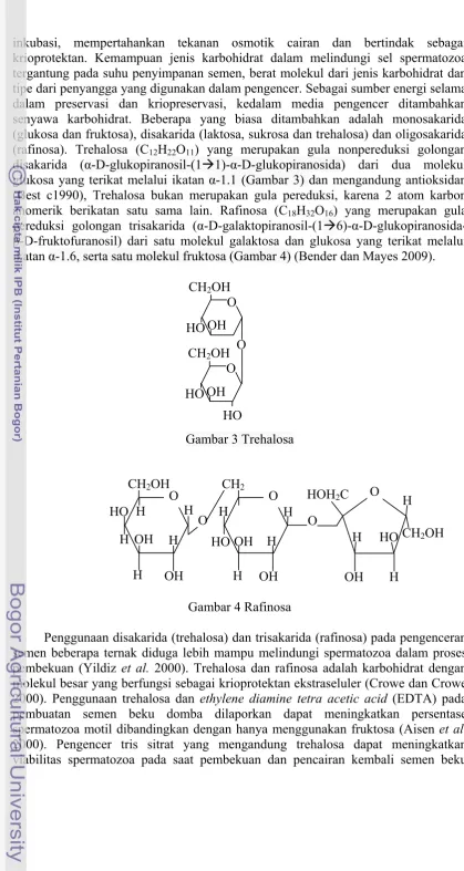 Gambar 3 Trehalosa 
