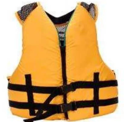 Figure 2.1: Example of life jacket (Source: www.doityourself.com) 