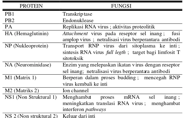 Tabel 1 Fungsi protein dari virus influenza A 