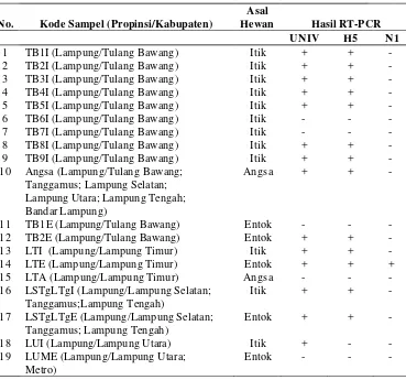 Tabel 5 Hasil pemeriksaan material genetik dengan RT-PCR pada pool          sampel unggas air serologis positif 