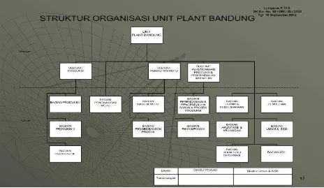 Gambar 2.2 Struktur organisasi unit PT Kimia Farma Tbk Plant Bandung  
