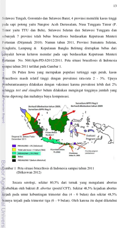 Gambar 1  Peta situasi brucellosis di Indonesia sampai tahun 2011  