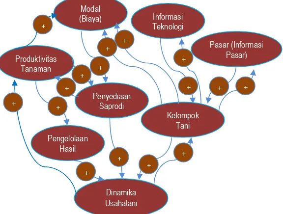 Gambar 8.  Diagram Lingkar Sebab Akibat (Causal Loop) Sistem Usahatani                        Konservasi Berbasis Sumberdaya Spesifik Lokasi