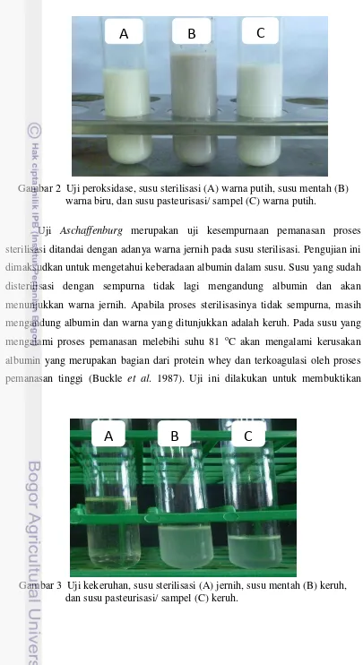 Gambar 2  Uji peroksidase, susu sterilisasi (A) warna putih, susu mentah (B)  