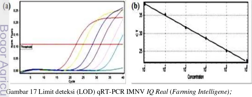 Gambar 17 Limit deteksi (LOD) qRT-PCR IMNV IQ Real (Farming Intelligene); 