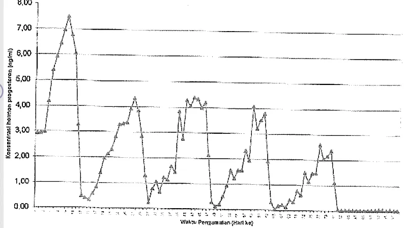 Gambar 5 Konsentrasi progesteron plasma rusa timor selama 3 bulan (Toelihere 