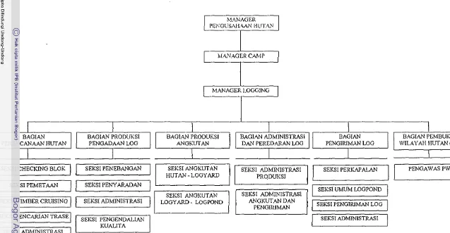 Gambar I. Struktur Organisasi Pengusahaan Rutan Unit Produksi HPH PT. Suka Jaya Makmur 