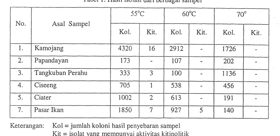 Tabel 1. I-Iasil isolasi dari berbagai sampel 