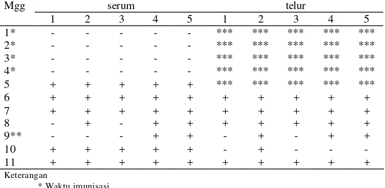 Tabel 3  Hasil uji AGP  IgY antitetanus pada serum dan telur ayam 