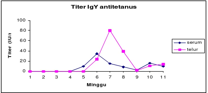 Gambar 8  Hasil uji imunodifusi   IgY antitetanus  Ayam.  (1) toksoid tetanus, (2)        IgY antitetanus ayam