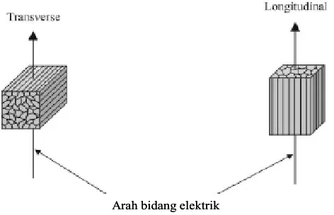 Gambar 2 Bidang pengujian nilai elektris pada daging (Lepetit et al. 2002). 