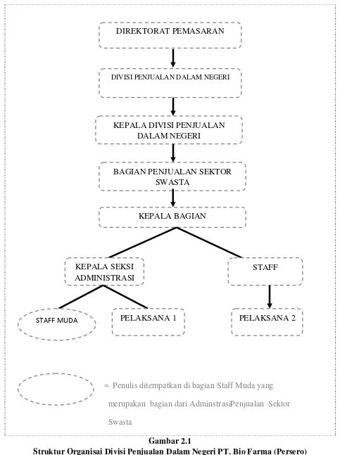 Gambar 2.1 Struktur Organisai Divisi Penjualan Dalam Negeri PT. Bio Farma (Persero) 