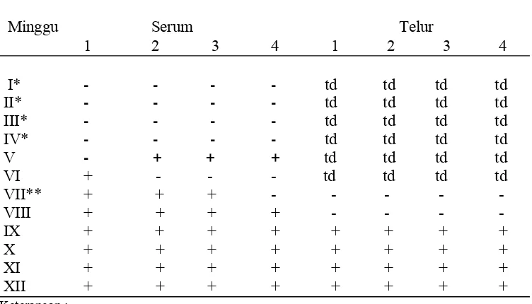 Tabel 2  Hasil uji AGP IgY pada serum dan telur ayam 