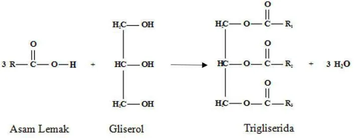 Gambar 1. Reaksi Penyusunan Trigliserida (Ketaren, 2008: 7) 