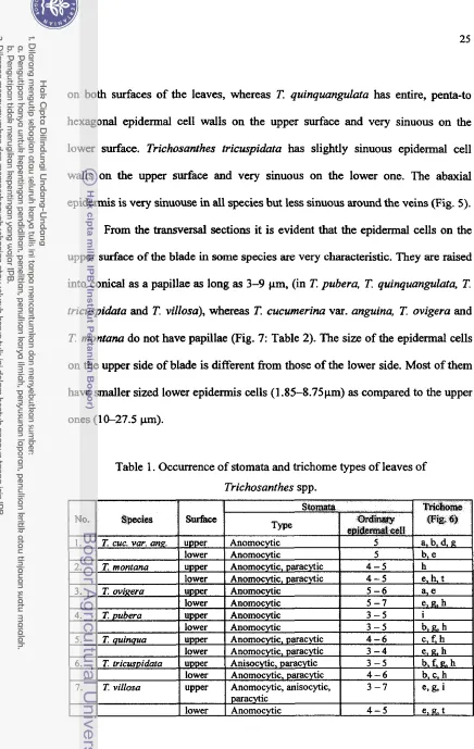Table 1. Occurrence of stomata and trichome types of leaves of 