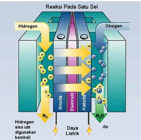 Gambar 2.3. Prinsip kerja PEM  fuel cell [11]