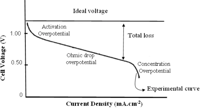 Gambar 2.4. Karakteristik arus dan tegangan PEM fuel cell. [13][19] 