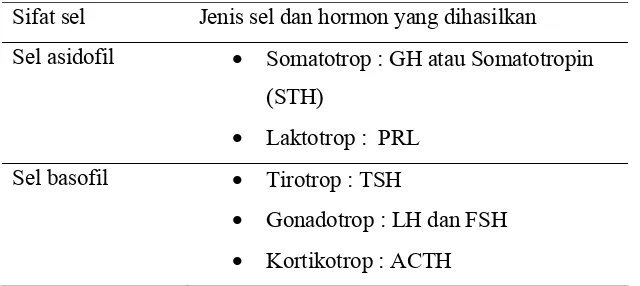 Tabel 1  Sel dan jenis hormon yang dihasilkan oleh adenohipofise  