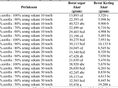 Tabel 2. Hasil uji jarak berganda Duncan taraf kesalahan 5% terhadap berat segar akar (gram), dan berat kering akar (gram) pada umur 4 MST 