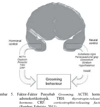 Gambar 5. Faktor-Faktor Penyebab Grooming. ACTH: hormon adrenokortikotropik. TRH: thyrotropin-releasing hormone