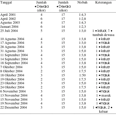 Tabel 8 Dinamika dalam nisbah jantan dan betina dewasa KRII selama penelitian               pendahuluan dan tahun 2004 
