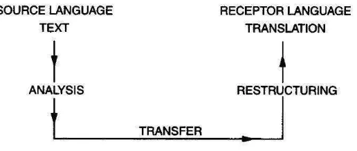 Figure 1. Translation Process according to Nida 