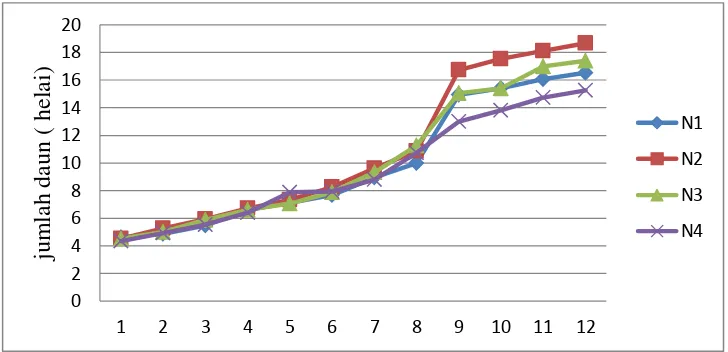 Gambar 2. Pertumbuhan Jumlah Daun 
