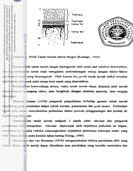 Gambar 1. Profil Tanah Sawah sekitar Bogor (Koenigs, 1950) 