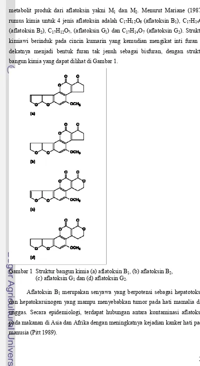 Gambar 1  Struktur bangun kimia (a) aflatoksin B1, (b) aflatoksin B2,(c) aflatoksin G dan (d) aflatoksin G.
