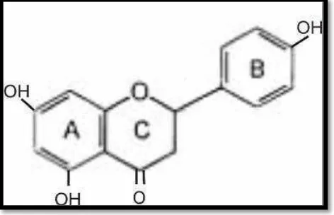 Gambar 1. Kerangka C6-C3-C6 Flavonoid (Hardianzah, R. 2009: 43) 