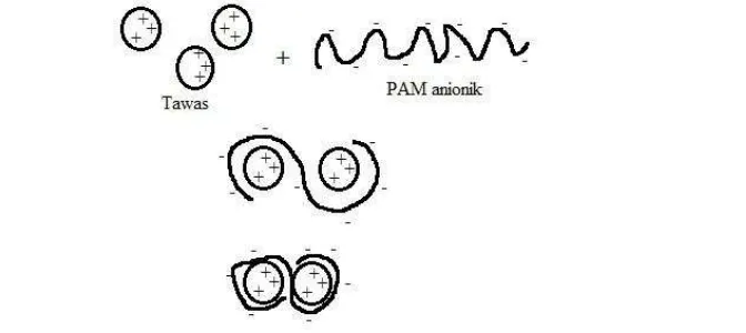 Gambar 13  Mekanisme jembatan antara tawas dan PAM anionik 