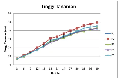 Gambar 2. Grafik Tinggi Tanaman 