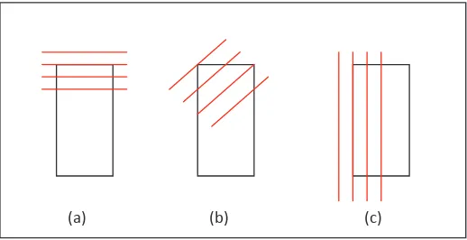 Figure 5. The laser stripe with diferent angle of laser scanner position. 