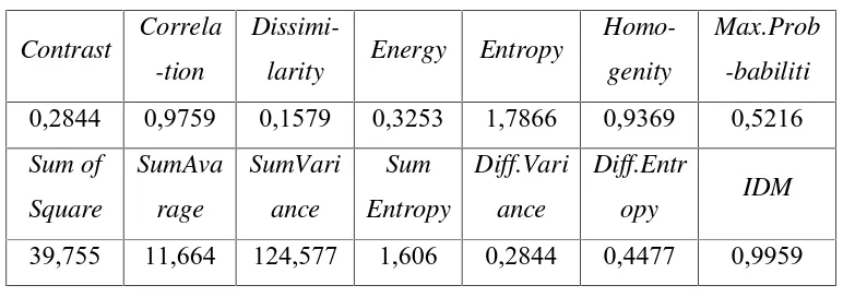 Tabel 2.1 Hasil Ekstraksi Citra MRI (Gambar 2.1)