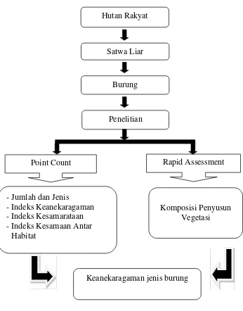 Gambar 1.  Kerangka penelitian keanekaragaman spesies burung di hutan rakyatPekon Kelungu, Kecamatan  Kotaagung, Kabupaten  Tanggamus Juni2015.