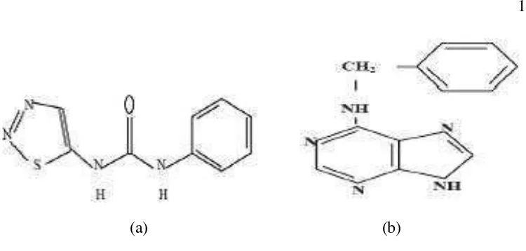 Gambar 1. Rumus baus bangun (a) thidiazuron (TDZ) dan (b) benziladeadenin (BA).