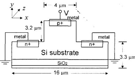 Figure I: Cross section of the p-i-n phase modulator. 