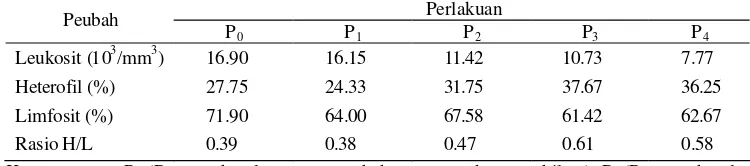 Tabel  4. Rataan jumlah leukosit, persentase heterofil (H), limfosit (L) dan rasio H/L ayam pedaging penelitian 