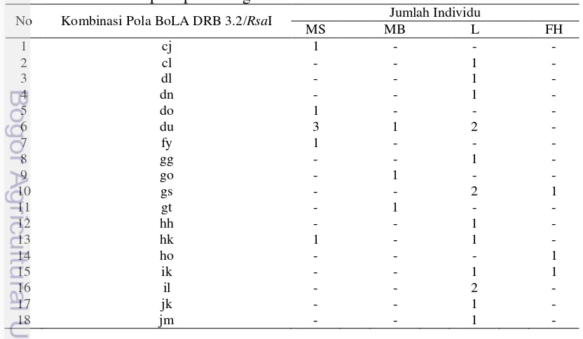 Tabel 2  Pola pemotongan enzim RsaI dan frekuensi tipe BoLA DRB 3.2/RsaI 