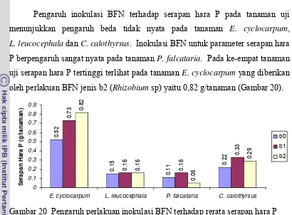 Gambar 20  Pengaruh perlakuan inokulasi BFN terhadap rerata serapan hara P 