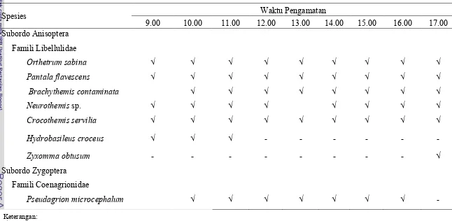 Tabel 4  Sebaran keberadaan spesies capung berdasarkan waktu pengamatan di Taman Lebak Sudjana Kassan dalam area Kebun Raya   Bogor Februari-Mei 2008