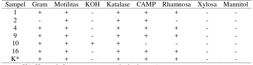 Tabel 2 Hasil uji lanjut enam isolat yang diduga positif  