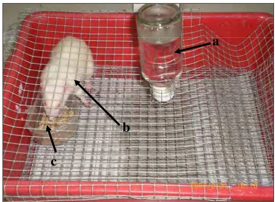 Gambar 4. Tikus laboratorium dan keadaan kandangnya. Keterangan: a=air minum, b=tikus laboratorium dan c=pakan