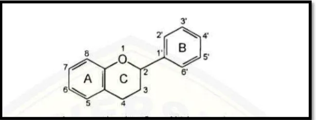 Gambar 2. Struktur dasar flavonoid (Lukmanto 2015;23) 