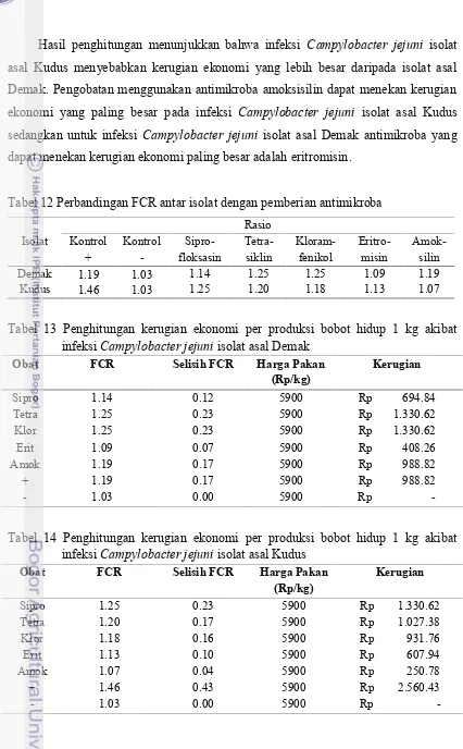 Tabel 12 Perbandingan FCR antar isolat dengan pemberian antimikroba